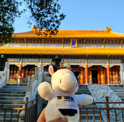 2000 kilometrów przez Chiny. Koleją, miastami i historią