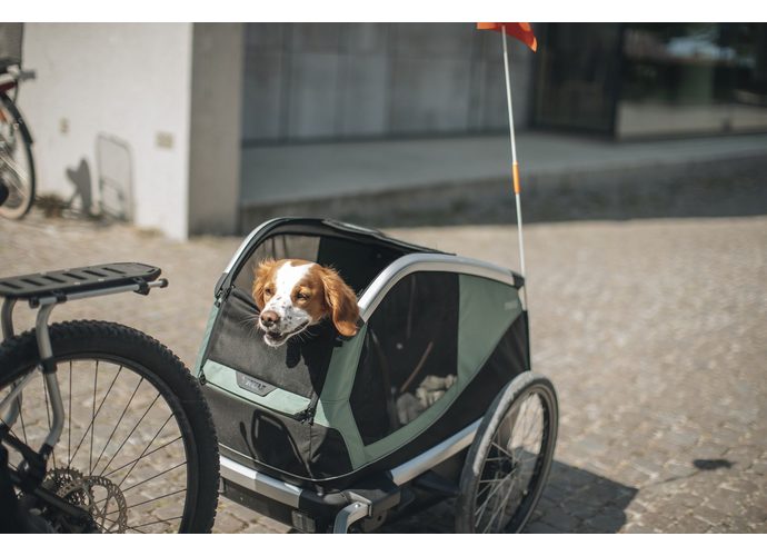 Thule Bexey przyczepka rowerowa dla psa Hazy Green L