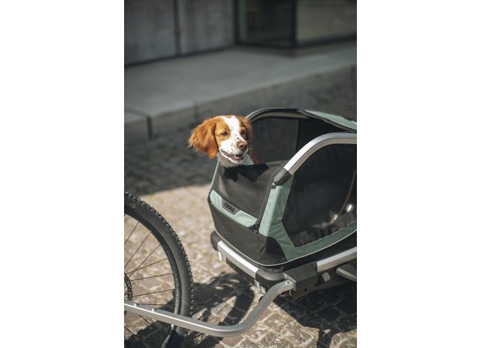 Thule Bexey przyczepka rowerowa dla psa Hazy Green L