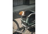 Thule Bexey przyczepka rowerowa dla psa Hazy Green L