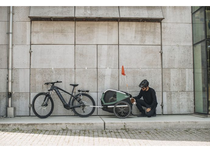Thule Bexey przyczepka rowerowa dla psa Hazy Green L