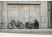 Thule Bexey przyczepka rowerowa dla psa Hazy Green L