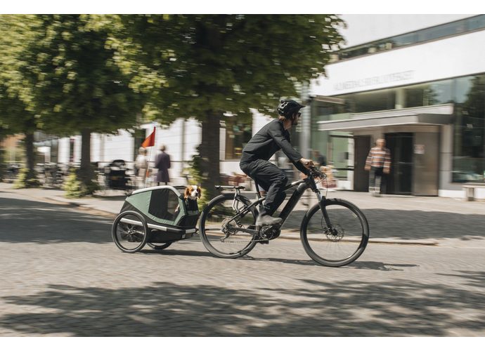 Thule Bexey przyczepka rowerowa dla psa Hazy Green L