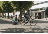 Thule Bexey przyczepka rowerowa dla psa Hazy Green L