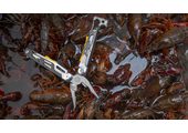 Leatherman SIGNAL Multitool 19 narzędzi stal nierdzewna