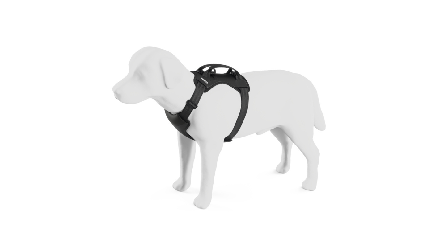 Top prezentów dla psiarzy