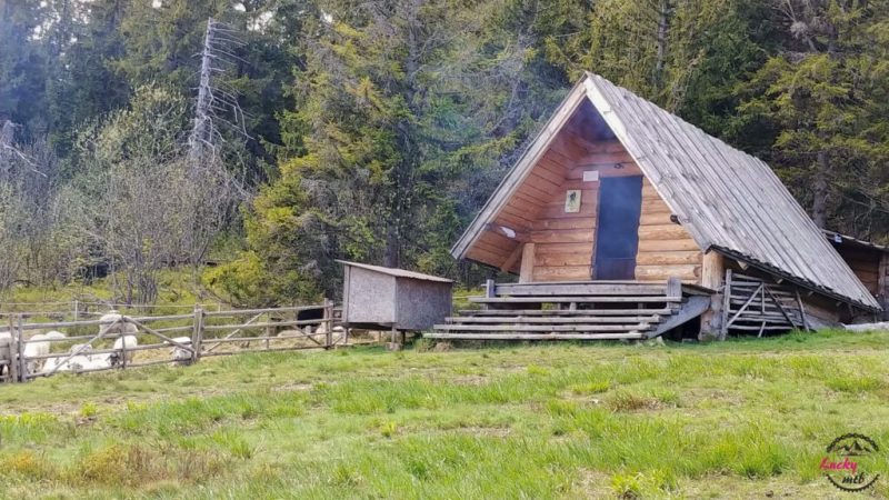 &bdquo;Odkrywcy Taurus&rdquo; &ndash; wyprawa rowerowa Beskid Żywiecki &ndash; Pasmo Policy