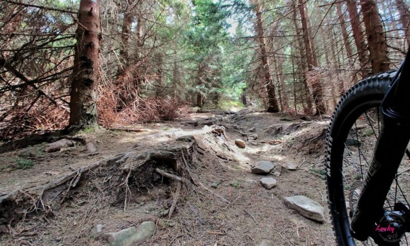 &bdquo;Odkrywcy Taurus&rdquo; &ndash; wyprawa rowerowa Beskid Żywiecki &ndash; Pasmo Policy