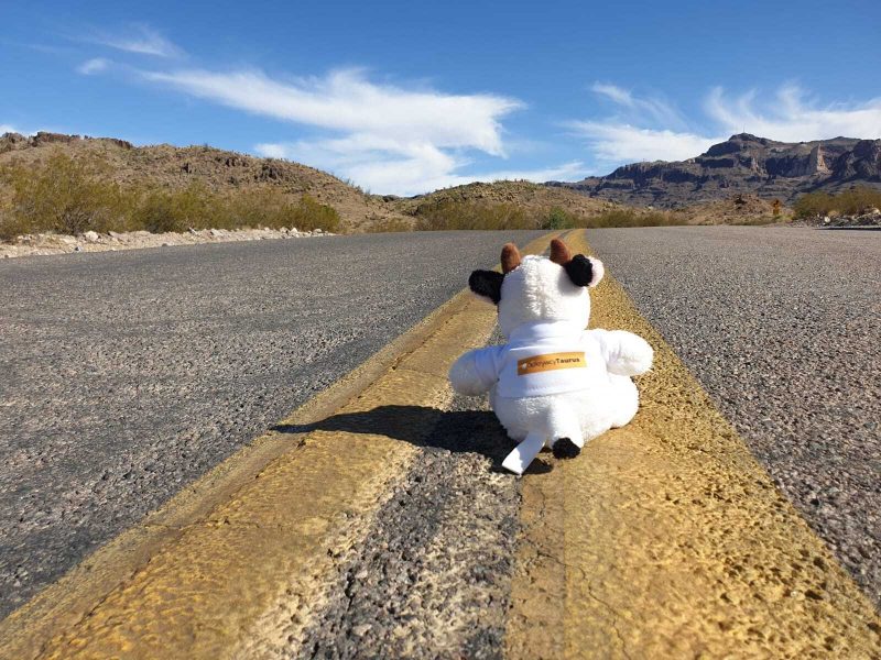 &bdquo;Odkrywcy Taurus" - American Dream zza Wielkiej Wody. Część 1