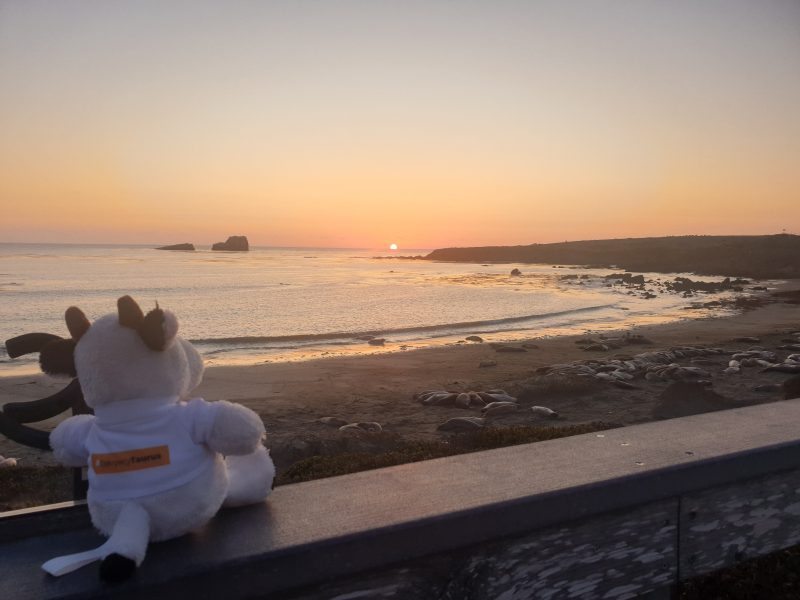 &bdquo;Odkrywcy Taurus