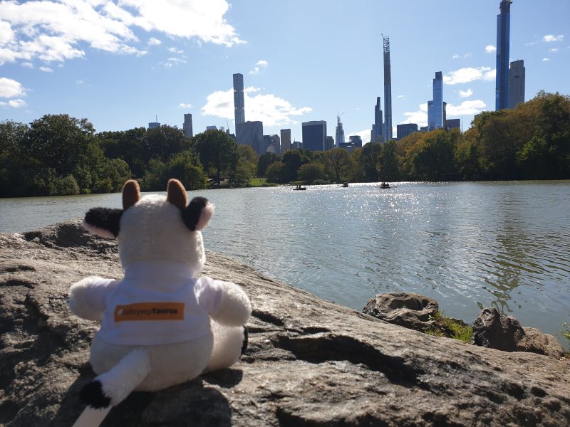 &bdquo;Odkrywcy Taurus