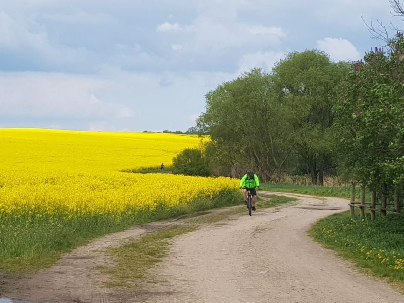 „Odkrywcy Taurus” - Wycieczka rowerowa w okolicach Szczecina