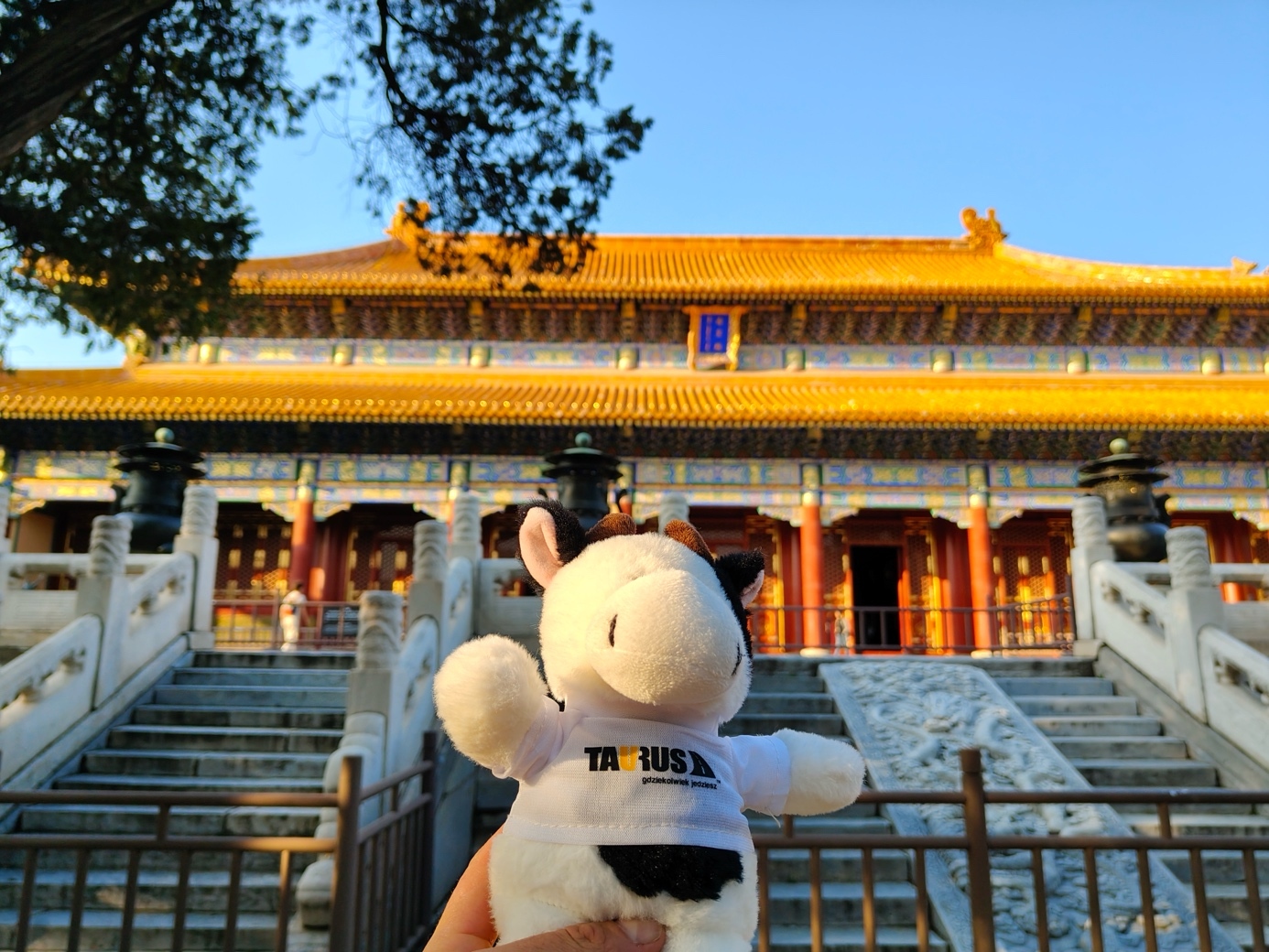 Okdrywcy Taurus Chiny