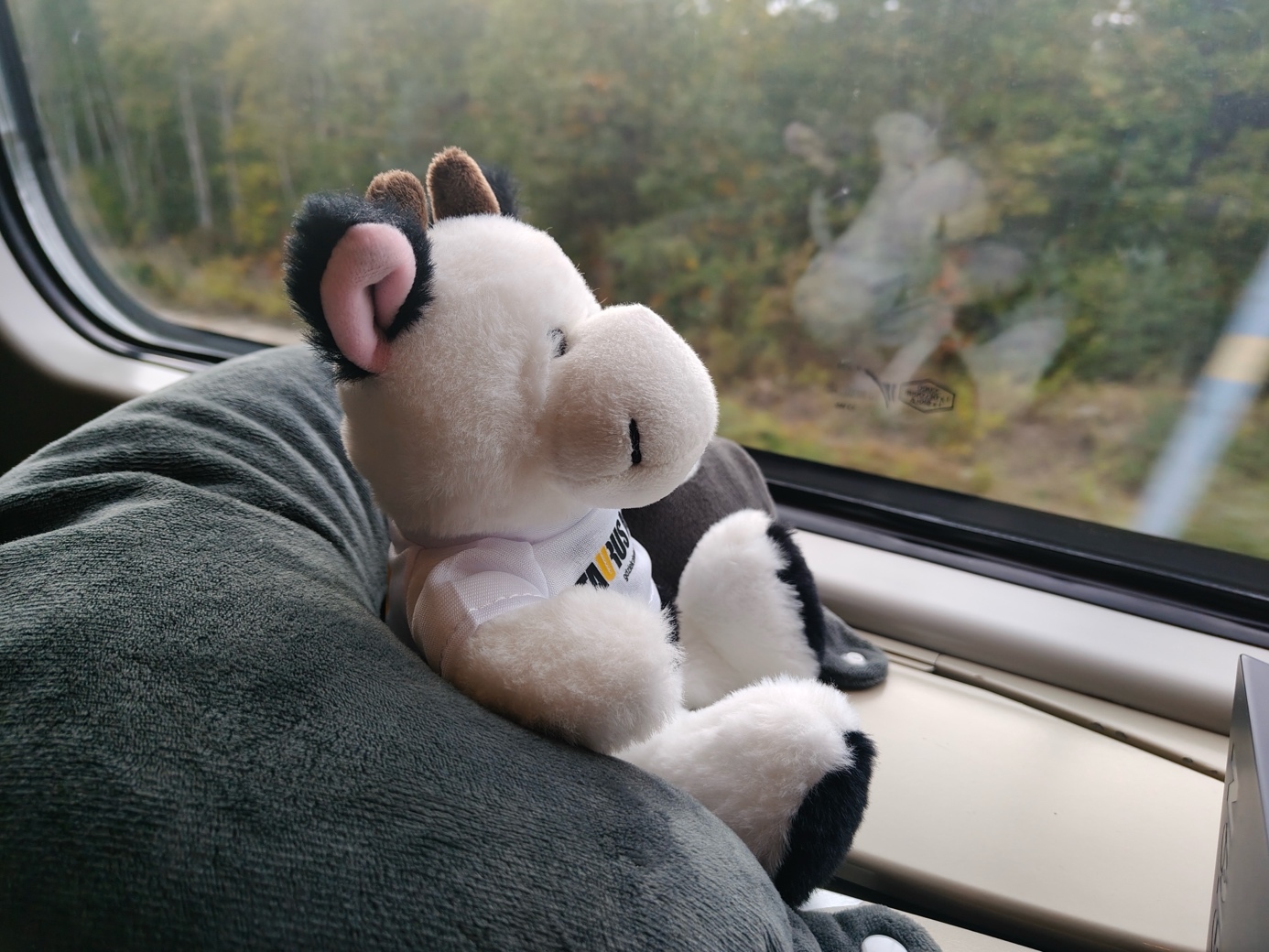 Okdrywcy Taurus Chiny