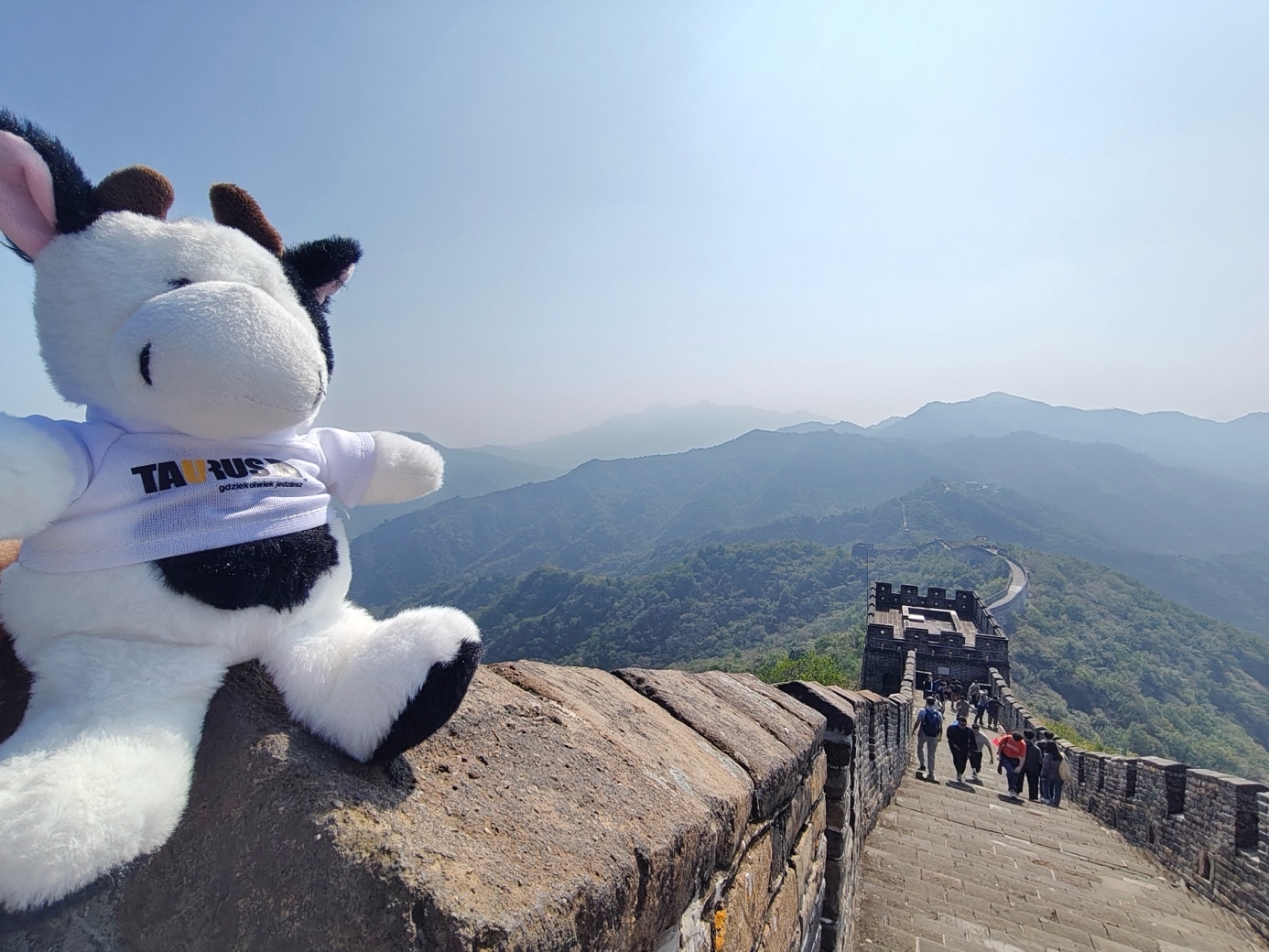 Okdrywcy Taurus Chiny