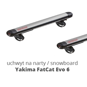 yakima-fatcat-evo-6-silver.jpg