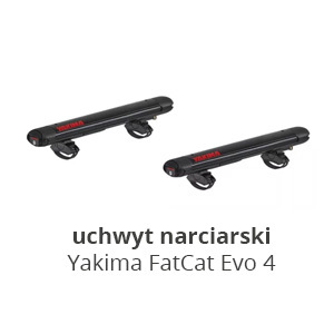 yakima-fatcat-evo-6-silver.jpg